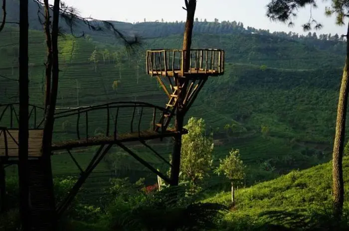 Bukit Senyum, Pesona Alam yang Dikelilingi Pepohonan Hijau di Bandung